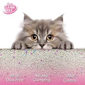 โรงงานผลิตทรายแมว EISEN PET ทรายแมวเบนโทไนต์คุณภาพสูงรูปทรงกลม - Product Image 2