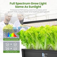 Tube hydroponique OEM pour la plantation de légumes et d'herbes d'intérieur Kit de culture à LED pour plantes d'intérieur Système de culture hydroponique