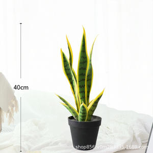 Plantas suculentas en maceta personalizables bonsái serpiente Planta artificial <span class=keywords><strong>Sansevieria</strong></span> jardín planta vegetación - Product Image 3