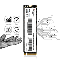 Ordinateur portable PC 64 120 128 240 250 256 480 512 960 GB 1 2 TB 1T 2 T M2 M.2 2280 NVMe PCIe Gen3 SSD Solid State Disque Dur Disques Durs