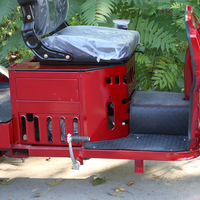 Tricycle de Mobilité pour Personnes Âgées et Handicapées, 125cc, Frein à Disque, Capot Personnalisé, Vente Directe Usine