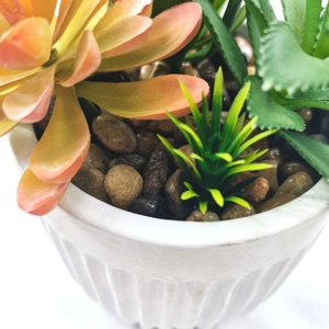 جودة عالية اصطناعية عصارية البلاستيك الاصطناعي تعمل باللمس الحقيقي النباتات قطعة واحدة دائمة الخضرة تصميم لديكور المنزل - Product Image 5