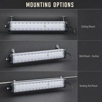 Luminaire antidéflagrant homologué UL ATEX IP66 40W 60W 80W 100W, éclairage linéaire LED antidéflagrant Zone 2 en alliage d'aluminium