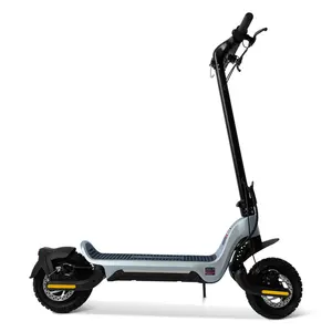 2023 nouveau scooter électrique pour adultes pas cher 2 places deux roues moto électrique course à vendre avec certificat CEE COC