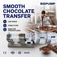 Máquina Llenadora de Bomba Lobular Rotativa Sanitaria de Micro Chocolate, Mini Engranaje Higiénico de Acero Inoxidable para Rellenar Pasteles