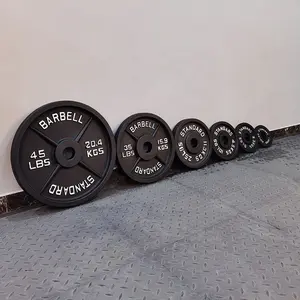 Placas de peso para academia em casa, placas clássicas de ferro fundido para treinamento de força