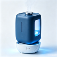 Cetakan Injeksi Kustom untuk Casing Luar Humidifier Rumah Tangga, OEM ODM Humidifier Plastik