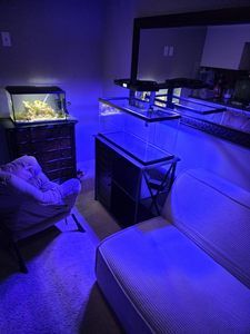 Lampe LED d'<span class=keywords><strong>aquarium</strong></span> efficace 120W à spectre complet, construction en aluminium, avec minuterie et contrôle de la luminosité, pour aquariums d'<span class=keywords><strong>eau</strong></span> <span class=keywords><strong>douce</strong></span> plantés et poissons - Product Image 3