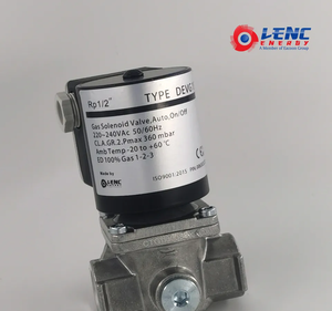 Le caldaie del bruciatore parte l'elettrovalvola a solenoide 12V con apertura lenta - Product Image 6