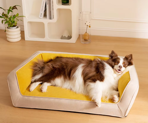 맞춤형 메모리 폼 개 침대 전체 지원 정형 소파 베드 이동식 빨 벨벳 커버 솔리드 패션-클래식 애완 동물 침대 - Product Image 3