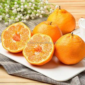 Tangerine chinoise Chunjian Dekopon, orange, agrumes frais de qualité supérieure, sucrés <span class=keywords><strong>et</strong></span> juteux, provenant du Sichuan, Chine - Product Image 5