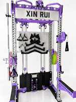 XINRUI Cage de musculation à usage domestique avec structure en acier pour un entraînement complet du corps