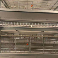 2025 nouvelle production Dimension personnalisée couche automatique complète 5 niveaux batterie poulet système de cage d'élevage pour la ferme moderne