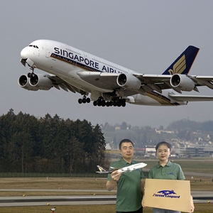 चीन से लेकर यूके तक लॉजिस्टिक्स शिपिंग कंपनी जर्मनी के जर्मन अमेज़ॅन एफबा फ्रेट फारवर्डर dp/du एक्सप्रेस डिलीवरी डोर टू डोर - Product Image 1