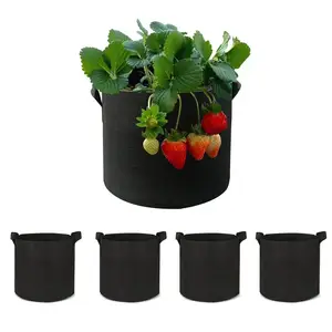 Cheap Customized 1 Gallon Planter Grow Bags Pots Grow Kit Pots And Seeds