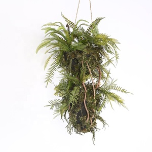 En gros fougère artificielle herbe suspendue décorative de mur vert plante - Product Image 4