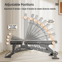 Banc de musculation inclinable et déclinable robuste avec système d'escalier à réglage rapide |   Banc de fitness multifonctionnel de qualité professionnelle