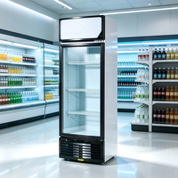 Réfrigérateur de présentation pour magasin, anti-rouille, facile à nettoyer, pour station-service, petit refroidisseur de comptoir