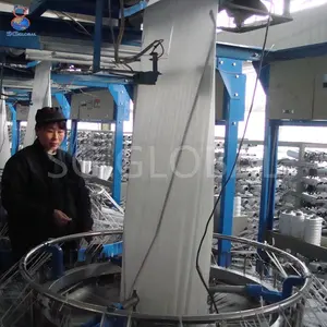 China Factory 5 Kg 15kg 25kg 50kg 90kg 100kg 120 Kg White Color Laminated Polypropylene Woven PP Sack Bag Roll For Agricultura