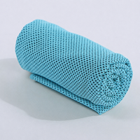 Serviette de sport en microfibre légère et portable à séchage rapide pour le fitness et les voyages – Offre spéciale usine