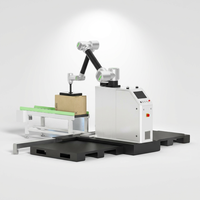 Robot collaboratif d'automatisation industrielle léger et haute puissance pour la palettisation