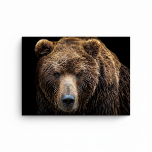 Lienzo Impreso Decorativo para Pared con Diseño de Oso Pardo, Decoración Rústica, Panel Artístico para Colgar - Product Image 2