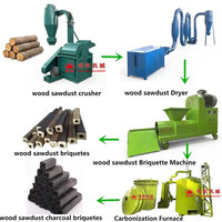 Ligne complète de production de charbon de bois Machine à briquettes de bois de biomasse pour la fabrication de charbon de bois vert 100%