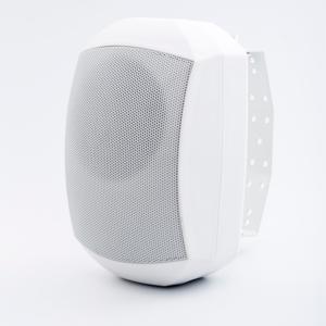 Địa Chỉ Công Cộng Hệ Thống Loa Tùy Chỉnh Kích Thước <span class=keywords><strong>60W</strong></span> Hoạt Động Thụ Động Trên Tường Gắn Loa - Product Image 1