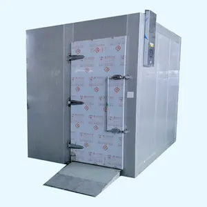 Vụ Nổ Tủ Đông (Quảng Đông Dim Sum) Nhanh Chóng Lạnh Lạnh Container Tủ Đông Phòng 2000L