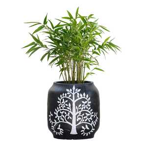 Support de plantes vertes noir, pot de fleurs décoratif de table pour l'intérieur, décoration de la maison, bureau, salon, élégant pour la décoration - Product Image 3