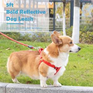 Laisse pour chien de luxe en sangle de nylon robuste personnalisée, en polyester, colorée, de créateur, avec corde réfléchissante pour animaux de compagnie - Product Image 6
