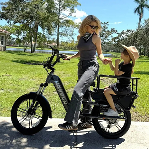 Vélo <span class=keywords><strong>cargo</strong></span> électrique familial à pneus larges, moteur 48 V 750 W dans le moyeu arrière, avec porte-bagages arrière et siège - Product Image 5