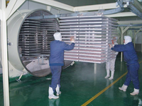 500-2000Kg Vacuüm Vriesdroger Lyofilisator Fruitgroente Verwerkingsmachine Voor Mango Pellet Proteïne Gevriesdroogd Snoep Voor