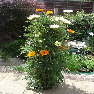 Conteneur de tour de plantes avec trou de Drainage décoration autoportante jardin treillis plante <span class=keywords><strong>Pot</strong></span> de <span class=keywords><strong>fleur</strong></span> pour vigne <span class=keywords><strong>grimpante</strong></span> fleurs - Product Image 6