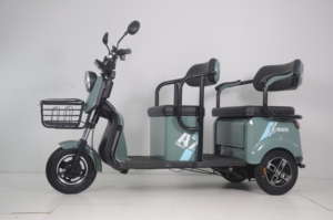 Tricycle à moteur 800W 48V, scooter à <span class=keywords><strong>3</strong></span> <span class=keywords><strong>roues</strong></span>, scooter de mobilité, scooter de mobilité <span class=keywords><strong>2</strong></span> <span class=keywords><strong>places</strong></span>, scooters de mobilité à <span class=keywords><strong>3</strong></span> <span class=keywords><strong>roues</strong></span>, tricycle - Product Image 4