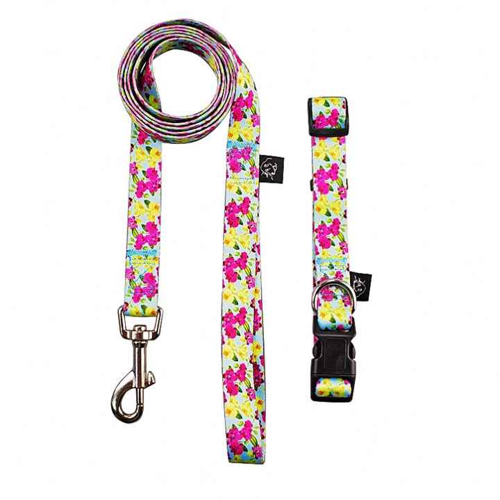 Wholesale Pet Traction Rope, Nylon Dog Leashes Fur Decoration Explosion