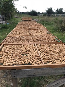 Incienso de Agarwood Puro en Cono, Hecho con Polvo de Agarwood 100% Natural, Orgánico, Ecológico, de Larga Duración, Hecho a Mano, con Efecto de Flujo Inverso, Aroma a Lavanda - Product Image 3