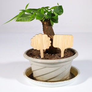 EASTOMMY – Support de plante Totem Rose verte en noix de <span class=keywords><strong>coco</strong></span>, poteau d'escalade, accessoires de jardin pour plantes en pot d'intérieur, ET-583909-M - Product Image 4