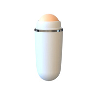 Rodillo Absorbente de Grasa Facial, Piedra Volcánica Natural, Masajeador Corporal, Herramienta para el Cuidado de la Piel del Rostro, Limpieza de Poros Faciales