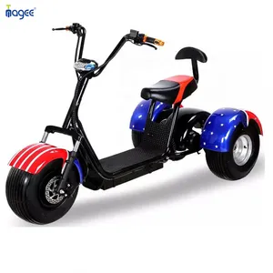 2024 Venta caliente Scrooser citycoco 1500W E-scooter con CE aprobado