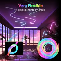 Neonawall Vente en gros de bande lumineuse LED tressée en silicone 360°, 10 mm, bande néon, 5 V USB, commande par application/télécommande, IP65, dimmable