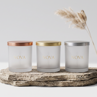 Pot à bougie en verre blanc givré de 10 oz avec couvercle pour la décoration de la maison et Noël, pour la fabrication de bougies, pot à bougie avec couvercle