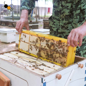 Thiết bị nuôi ong tổ ong khung Lược mật ong khung lưu trữ hộp - Product Image 2