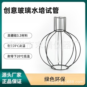 Transparent Glass Hydroponic Vase 37x45x150mm For Tabletop Decoration Living Room Display - Product Image 5