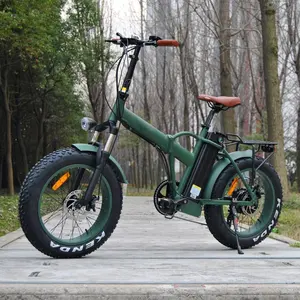 20'' Folding Fat Tire 500W 750W Motor Electric Bicycles Bike E Cycle for Sale Ebike Fat City Road Bike Mountain Bike Ebike