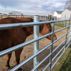 Valla continua directa de fábrica 3 4 5 6 Bar 20 pies Paneles de valla de ganado continuo - Product Image 5