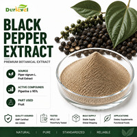 Een wereldwijd culinaire kruid, zwart peper extract poeder van Piper Nigrum vrucht, bulk botanische ingrediëntenleverancier voor merken