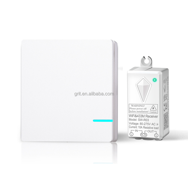 Tuya Wifi 600M Wireless Range Waterproof 10A Smart WIFI 1 Way Wall Light Electrical Remote Control WIFI Light Switch