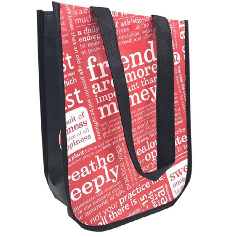 High Quality Custom Print Non Woven Laminated Bag Reusable Spunbond Bag