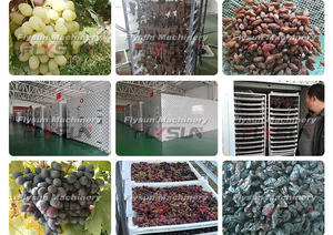 เครื่องอบแห้งอัตโนมัติสำหรับผลไม้ เช่น ลูกพรุน ลำไย ราสเบอร์รี่ องุ่น และอื่นๆ - Product Image 2